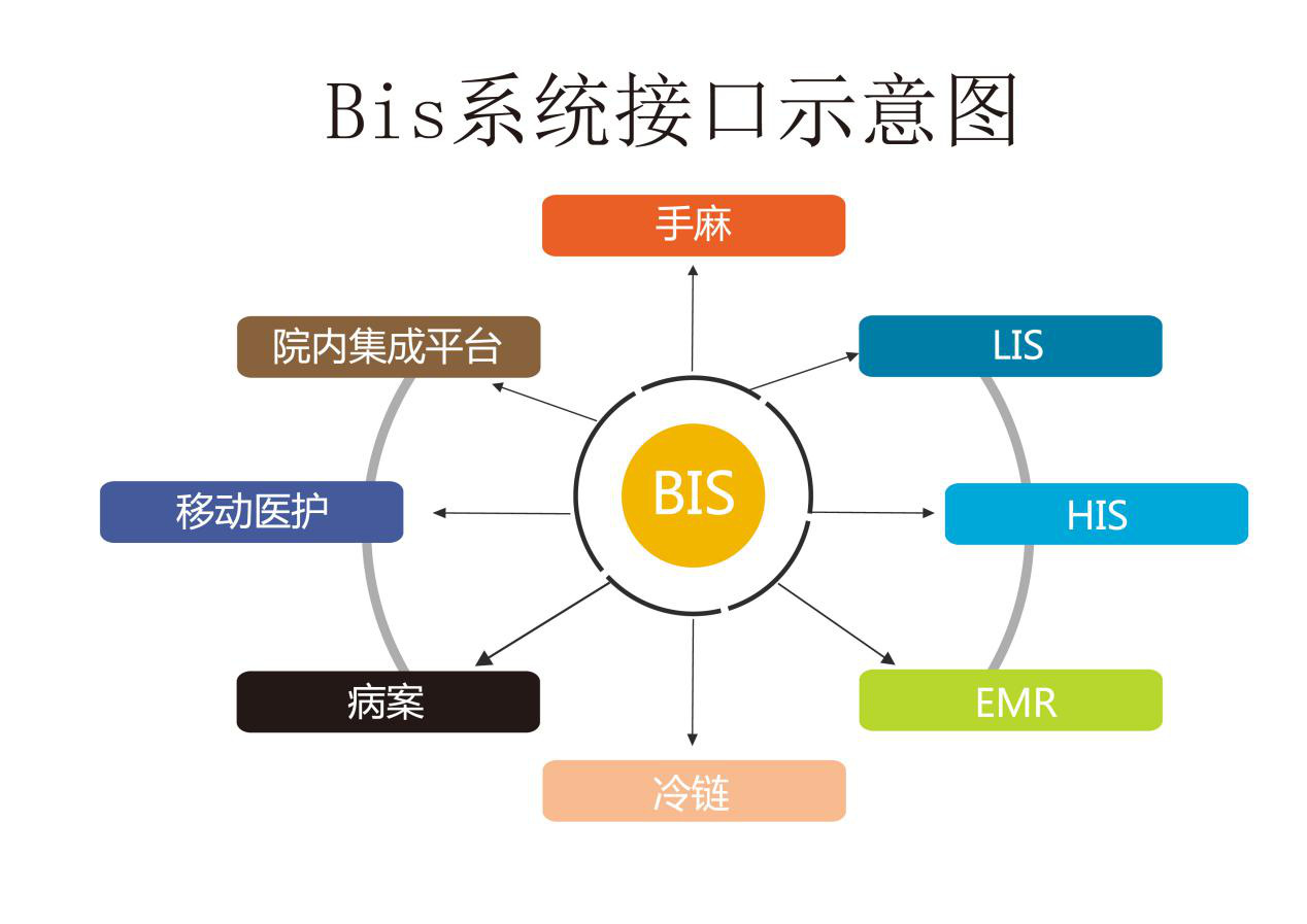 Bis系统接口示意图